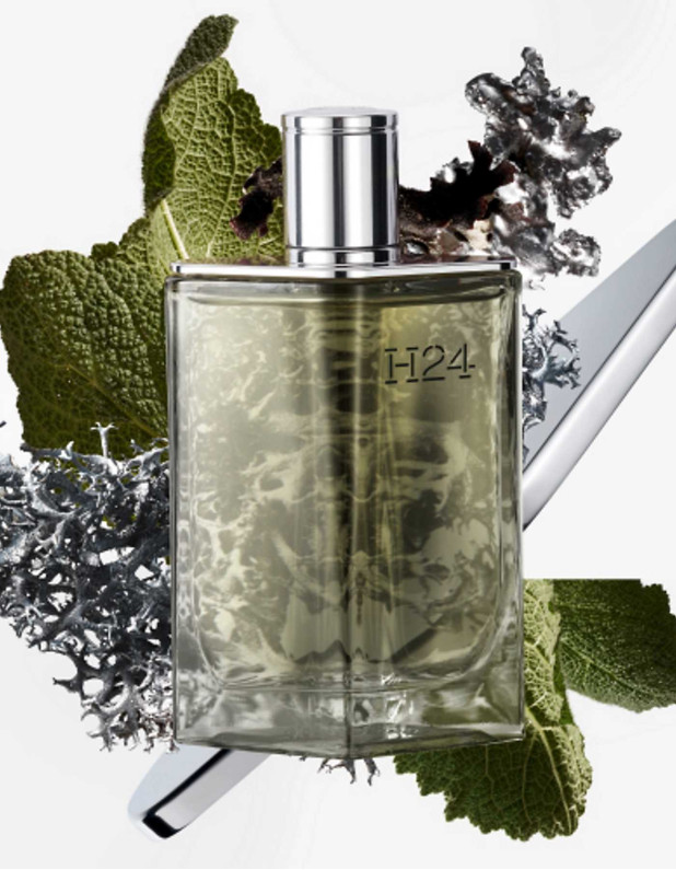H24 Edp